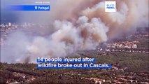 Firefighters continue to battle blazes in Portugal, North Macedonia and Bulgaria