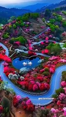 Immerse Yourself in the Soulful Serenity of Quran