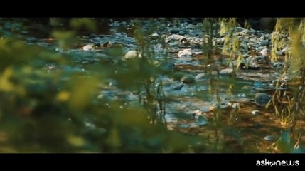 In anteprima il video "Into Your Sweetness" di Filippo Bertipaglia