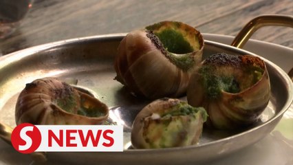 On your marks, get set, Escargot!