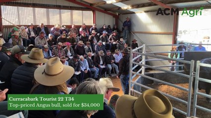Curracabark Angus and Hereford sale | July 22, 2024 | The Land