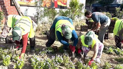 Buca caddeleri çiçeklerle süslendi