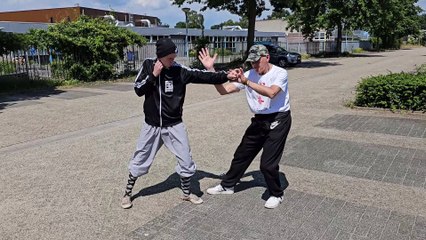 Selfdefense Tai Chi Application - He Yong Gan Martial Arts