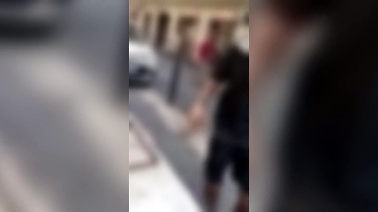 Roma, il video dell'aggressione all'avvocato che chiedeva di mettere il guinzaglio al cane