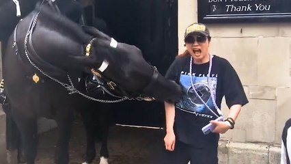 Shocking moment tourist gets bitten by King's Guard horse while posing for picture