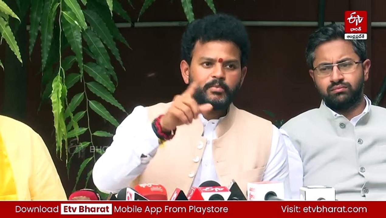 కేంద్ర బడ్జెట్‌పై టీడీపీ ఎంపీల హర్షం