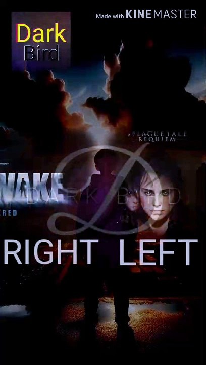 Hear The Magic Of Music | Different Music in both of your ears  ( Dark Bird )