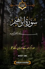 #Subhanallah# subhanallah# Alhamdulilh#