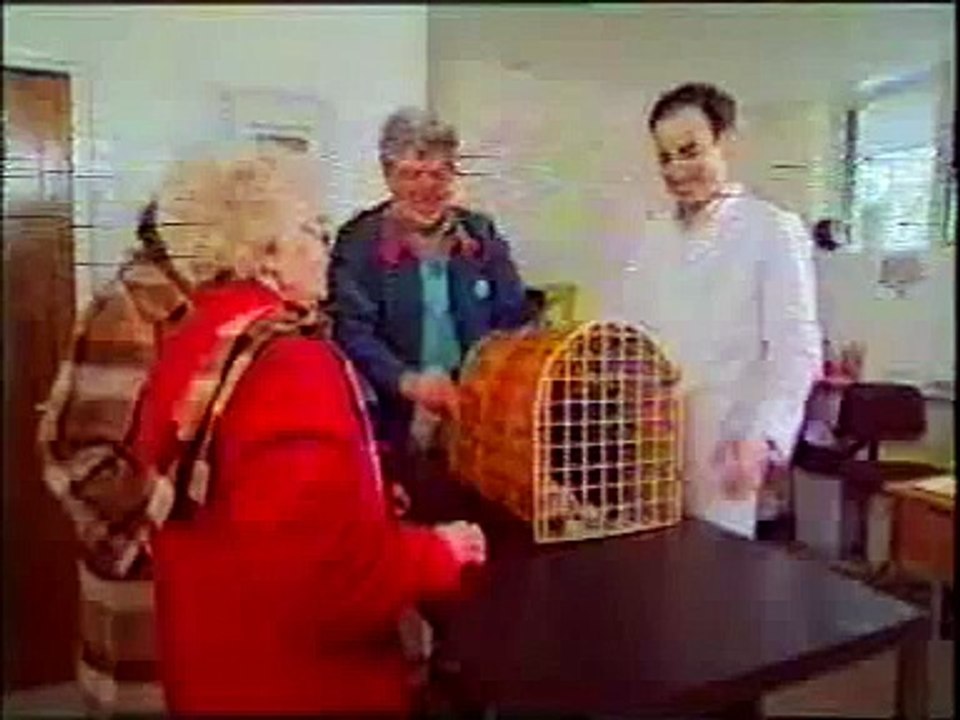Cat goes apeshit on Rolf Harris