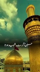 Amina pari - _karbala _Muharram _fypviralシ _fb _foryoupageシ _fbreelsfypシ゚viralシ _muharram2024 _FarhanAliWaris _noha2024 _nohy _status(HD)