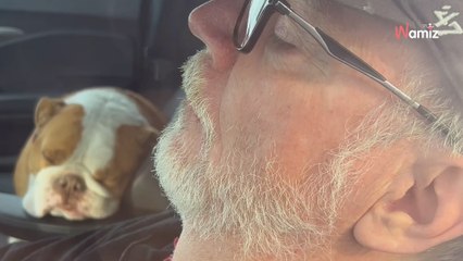 Woman is shocked to discover what her husband does instead of walking the dog