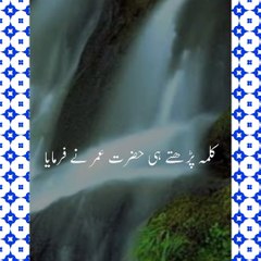 حضرت عمر رضی اللہ تعالیٰ عنہ فرماتے ہیں