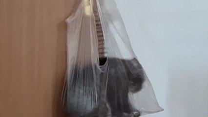 From tease to please: Kitty's playful adventures end in a swinging surprise