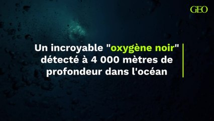 Un incroyable "oxygène noir" détecté à 4 000 mètres de profondeur dans l'océan