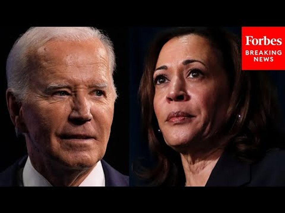 Kamala Harris Polls Better Than Biden In These Key Voting Groups: HarrisX Pollster