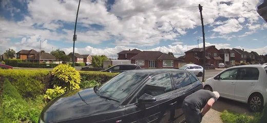 Ladder Falls While Man Tries to Remove Branch of Tree