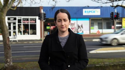 Homes needed for more than 250 puppies after closure