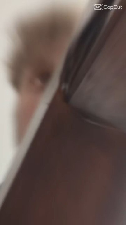 donald et le Stannah