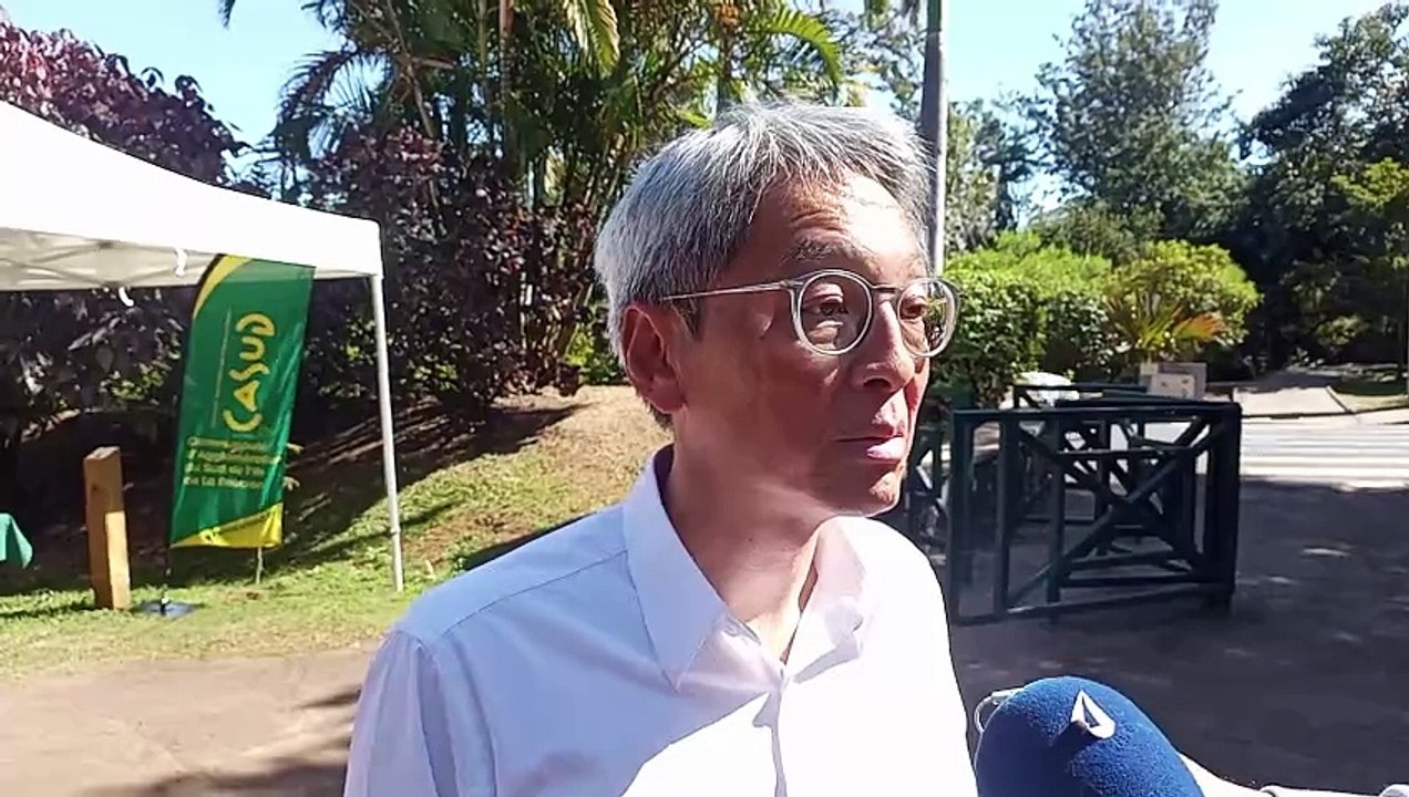 Errance animale : "Si on prend la peine d'avoir un chien et qu'on l'aime, on le laisse dans sa cour"