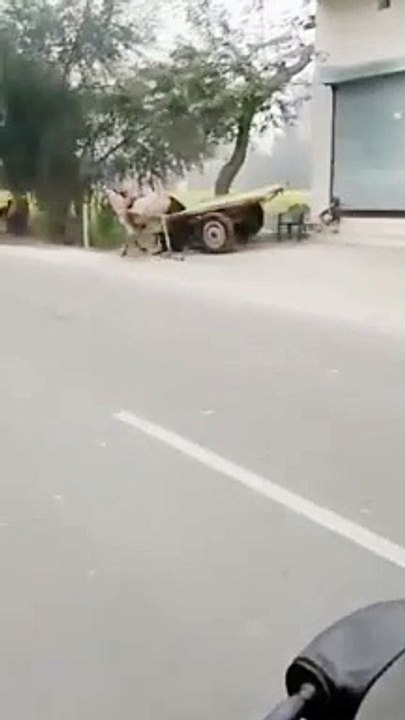 Racing without driver | funny racing car without driver| running accident without driver