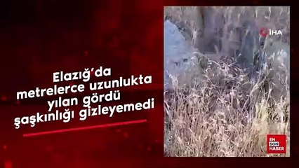Elazığ'da metrelerce uzunlukta yılan gördü şaşkınlığını gizleyemedi