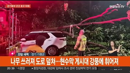 엘리베이터 침수되고 나무 쓰러져…경기 북부 호우 피해 잇따라