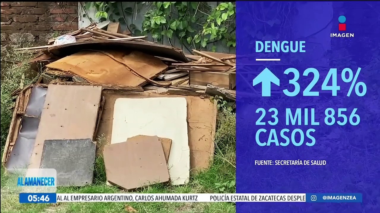 Aumentan Los Casos De Dengue En México Suman 23 Mil 856 Casos Vídeo