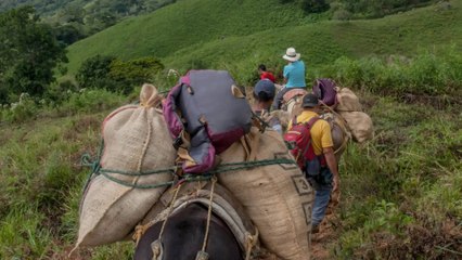 Alcalde de Argelia, Cauca, advierte que al menos 600 personas están confinadas en el municipio