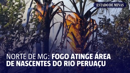 Fogo devora buritizais em vereda seca no Parque Estadual do Peruaçu