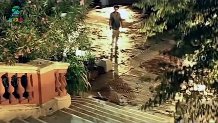 Rajini Negotiating With Arvind Swamy - Thalapathi | Mammootty | Srividya | Bhanupriya | illayaraja | Studio Plus Entertainment