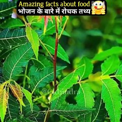Hi lovely friends good evening