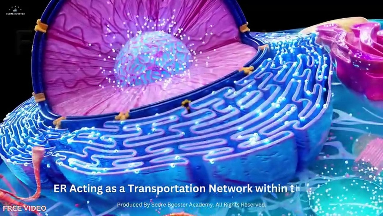 1. A. What Is Cell I Cell as the Basic Unit of Life - video Dailymotion