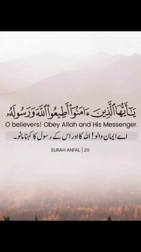 اے ایمان والو اللہ اور اس کے رسول صلی اللہ علیہ وآلہ وسلم کا کہنا مانو ❤️#trending#viral#shorts#daikymotion#islamic#foryou