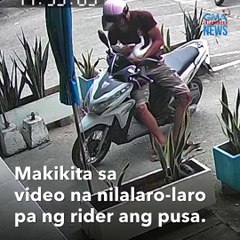 Скачать видео: Cat-napper! Motorycle rider, nagnakaw ng alagang pusa  | GMA Integrated Newsfeed