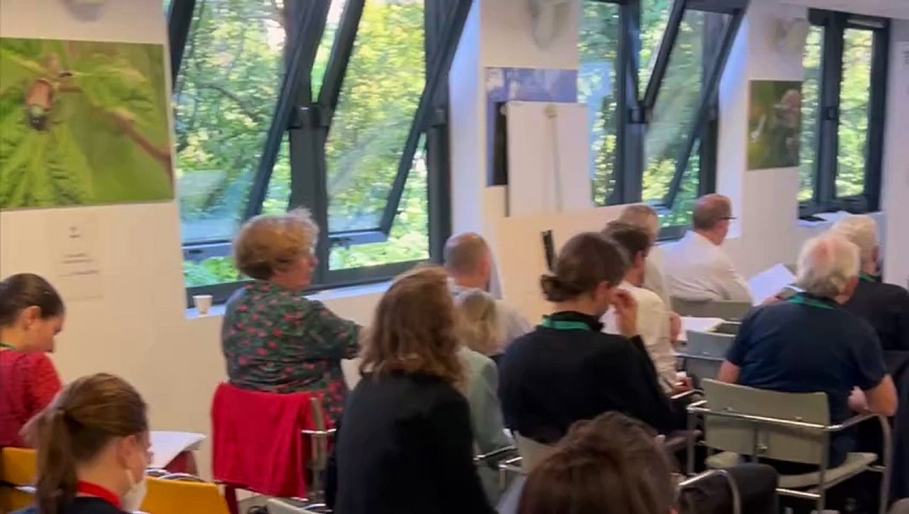 [PARTICIP'ACTION] - Un atelier en vidéo - Vidéo Dailymotion