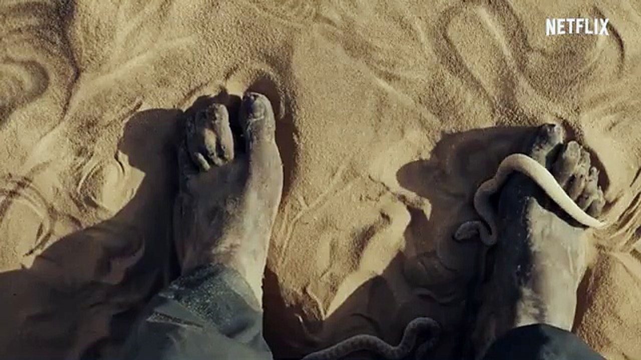 Prithviraj NARROWLY ESCAPES a DEADLY Snake -Aadujeevitham - Netflix India