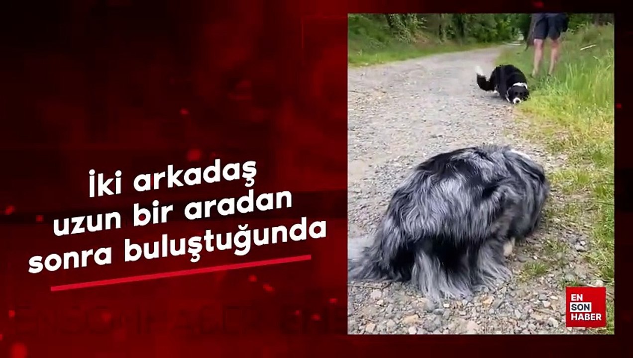 İki arkadaş uzun bir aradan sonra buluştuğunda