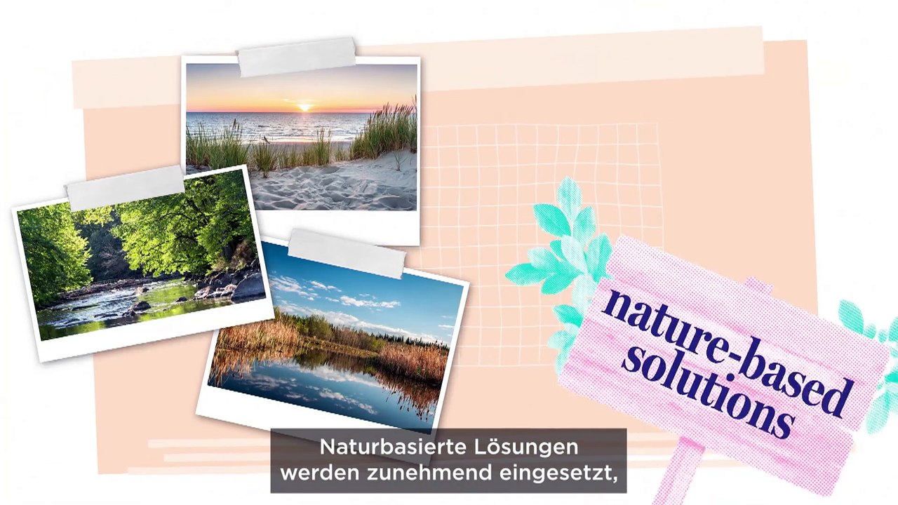 Warum die Natur unser bester Wassermanager im Kampf gegen den Klimawandel ist