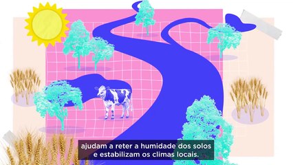 Solução natural: porque é que a natureza é o nosso melhor gestor de água
