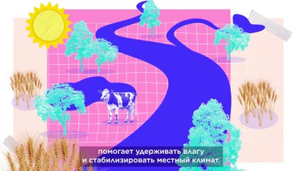 Учиться у природы: ЕС призывает внедрять естественные решения для экозащиты