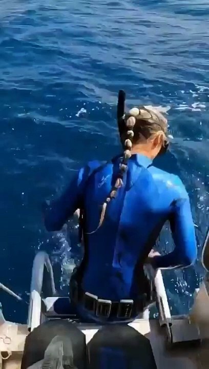 Shark attacks the scuba diver