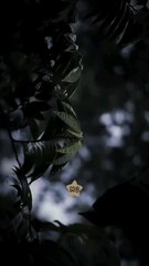 six reasons why you love your life