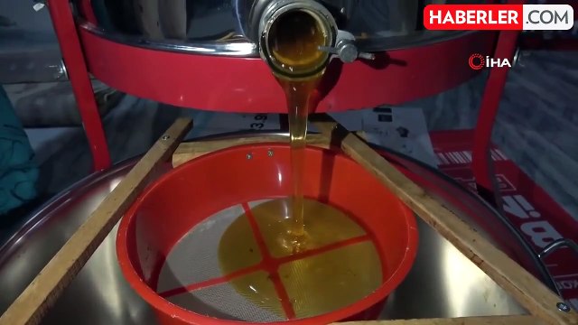 Ordu'da çiçek balında yüzde 50 verim kaybı var