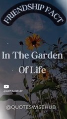 Friendship Facts_friends are life #motivation #quotes#facts #shorts