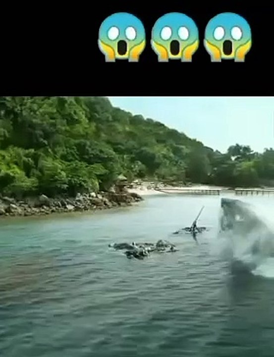 Wild Shark attack on a man