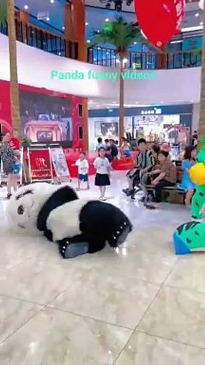 Panda funny