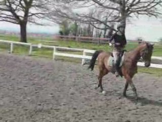 Chouf début de séance