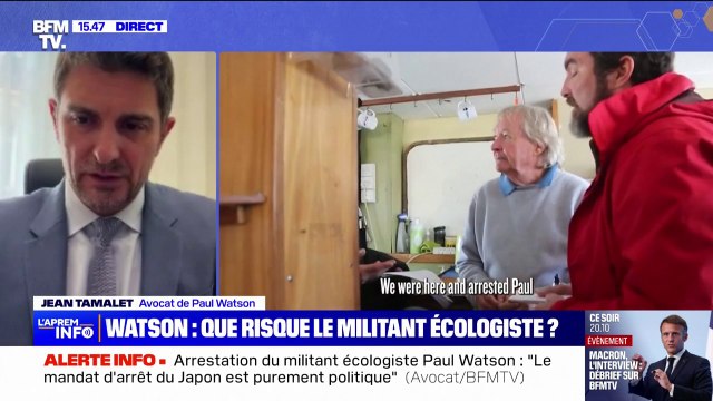 Sea Shepherd: l'avocat de Paul Watson, fondateur de l'ONG, dénonce un guet-apens après l'arrestation de son client au Groënland