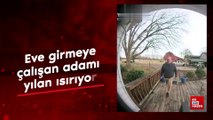 Eve girmeye çalışan adamı yılan ısırıyor