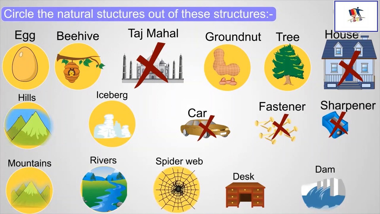 Structures -Types - Examples -Functions